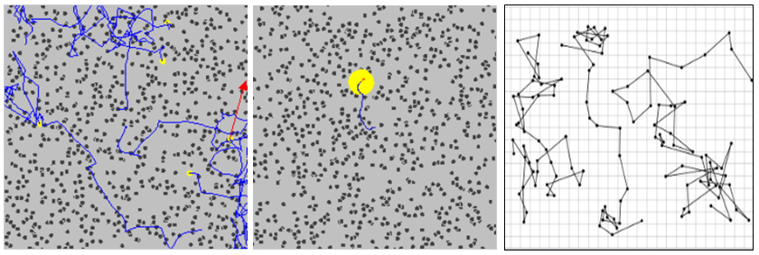 브라운 운동 (출처: Wikipedia, Brownian motion)